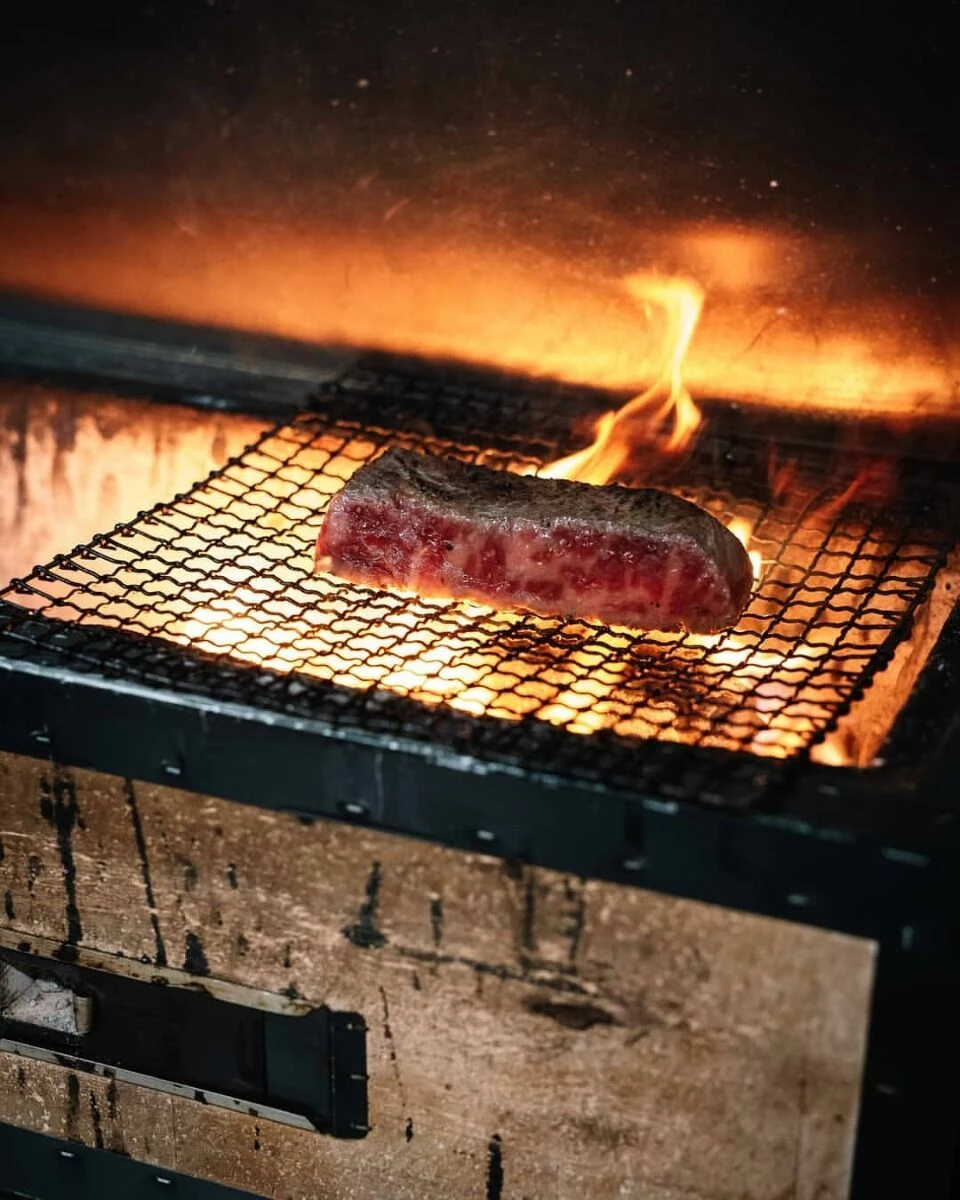 Oldenhof Konro Grill Diatomite Japanse Barbecue B-10 54 X 23 X 20 Cm - Afbeelding 2